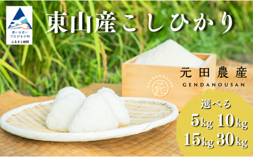 コシヒカリ 精米 令和7年産 選べる 5kg / 10kg / 15kg / 30kg お米 白米 こしひかり 小松市 石川県 [元田農産]
