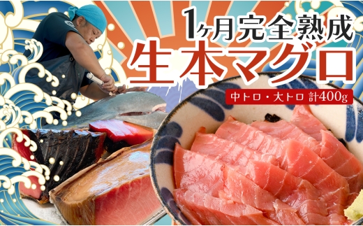 熟成 生 本マグロ 大トロ 中トロ 2種 計400g 各200g 冷蔵 刺身用 国産 高知県産 養殖 お正月用｜熟成本まぐろ 鮪 まぐろ ギフト お取り寄せ 希少 贈答 グルメ おせち お歳暮 年末年始  高級 海鮮 ごちそう 1ヵ月熟成 大月町 2302095 - 高知県大月町