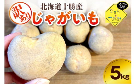 【10月上旬～1月下旬頃配送】【訳あり】北海道十勝芽室町 農家応援じゃがいも メークイン（変形）5㎏　me001-050c-2