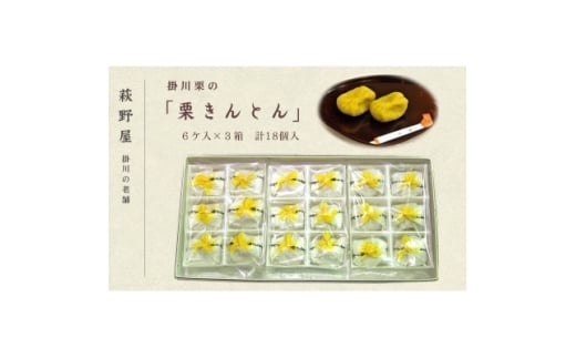 萩野屋 掛川栗の 栗きんとん 6個×3箱 計18個入【1662792】