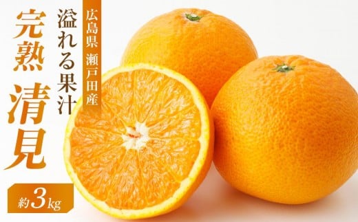 めっちゃジューシー　完熟清見3ｋｇ　＜2026年3月下旬より発送開始＞【ミカン みかん 蜜柑 フルーツ 果物 完熟 青果 柑橘 尾道市】 503351 - 広島県尾道市