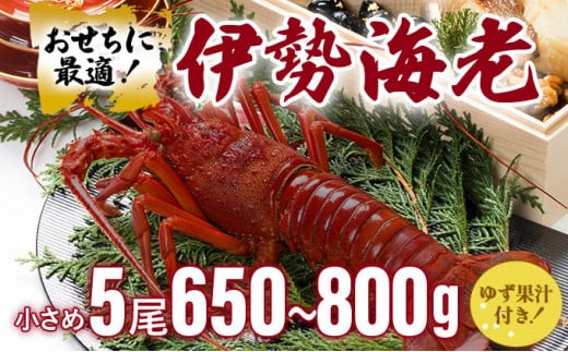 伊勢海老おせちサイズ 5尾セット[冷凍]