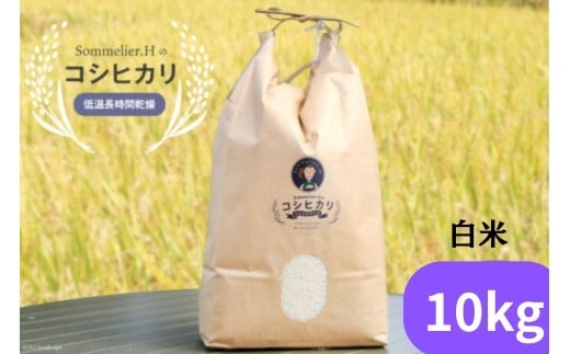【令和6年度産】減農薬 上市町湯神子産コシヒカリ（白米）10kg　 [ソムリエH 富山県 上市町 32280232-r6-04] 　お米 コメ ご飯 ごはん 玄米ご飯 玄米ごはん こしひかり