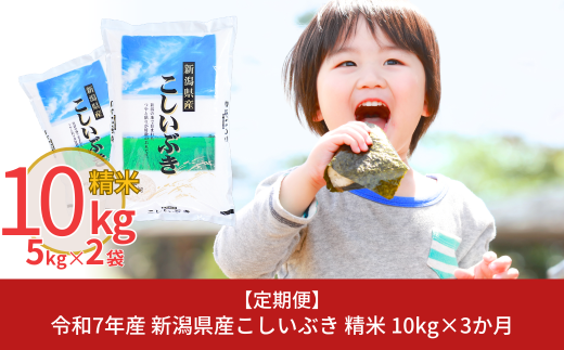 新米 [定期便10kg×3ヶ月] 新潟県産こしいぶき 計30kg 令和7年産 3か月連続でお届け [株式会社白熊]【031S004】 1001890 - 新潟県三条市