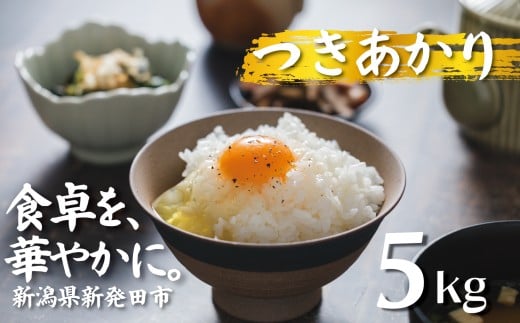 【新米】令和7年産 つきあかり 5kg コシヒカリ こしひかり 同等以上の食味 ご飯 備蓄 コメ お米 米 こめ しんまい 新潟産 新潟米 新潟県 新潟 新発田 新発田市 国産 新発田市産 斗伸 toushin036