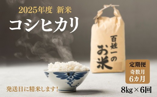 128-1002　【6回定期便・奇数月】石井町産コシヒカリ8kg×6カ月（奇数月）  ※離島への配送不可