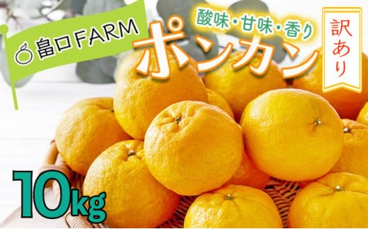 【先行予約】訳ありポンカン<10kg> HT12 327444 - 高知県東洋町