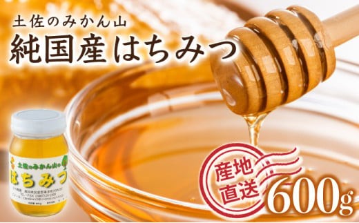 『純国産』土佐のみかん山のはちみつ＜600g＞ 国産 東洋町産 蜂蜜 ハチミツ ハニー 国産はちみつ 国産ハチミツ 四国 家庭用 自宅用 大容量 送料無料 TA21 340864 - 高知県東洋町