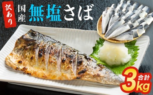 サバ 訳あり 無塩サバ フィレ 3kg (30枚前後)  サバフィレ 冷凍 鯖 無塩 フィレ さばフィレ saba サバ 訳アリ 切り身 海鮮 惣菜 小分け バラ冷凍 不揃い 魚 お魚 焼き魚 煮魚 おかず お弁当 美味しい 簡単調理 石巻応援 1552550 - 宮城県石巻市