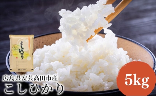 [№5895-0819]米 令和7年産 こしひかり 5kg 2025年 広島県安芸高田市産 白米 お米 コシヒカリ