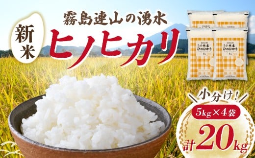 【先行受付】令和7年産米 ヒノヒカリ 20kg（国産 米 新米 令和7年新米 ヒノヒカリ 宮崎県小林市）