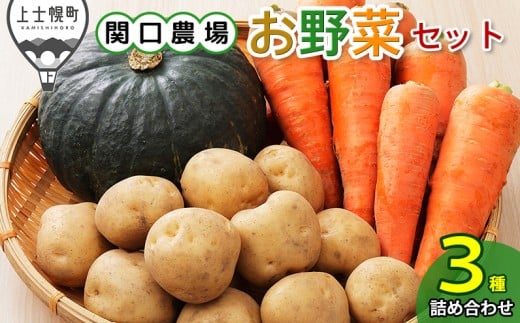 北海道産 お野菜セット じゃがいも にんじん カボチャ 北海道 上士幌町 関口農場 野菜 詰め合わせ 産地直送 ◆2025年10月配送予定 ［010-V63］ ※オンライン申請対応