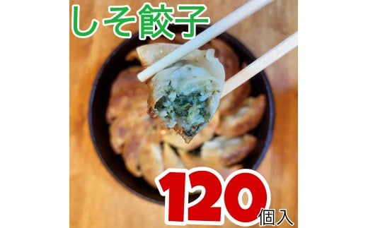 伊万里発「餃子無尽」のシソ餃子　120個 　209-G300 2318551 - 佐賀県伊万里市