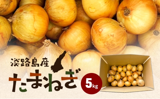 淡路島産たまねぎ 5kg 玉ねぎ タマネギ 甘い 兵庫県 洲本市 淡路島 