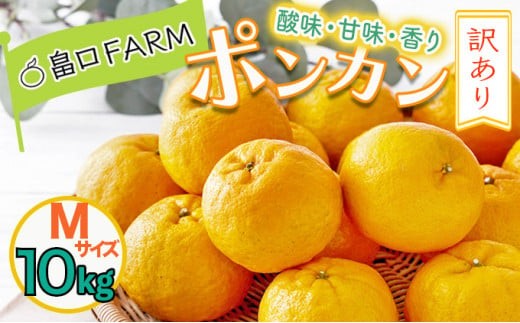 【先行予約】訳ありポンカン ＜10kg＞ Mサイズ　HT18 341441 - 高知県東洋町