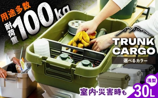 [選べる3色]トランクカーゴ ロータイプM 1個 / キャンプ ボックス 収納 ケース アウトドア 収納ボックス バーベキュー 道具箱 レジャー 釣り ギア 格納 頑丈 大容量 キャンプ用品 屋外 活動 便利 クーラーボックス 持ち運び 収納 コンテナ インテリア / 恵那市 / 東谷株式会社 明智流通センター [AUAD034P]