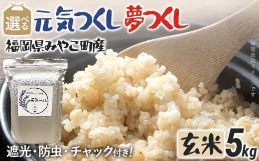 米 令和7年産 選べる 元気つくし 夢つくし(玄米) 5kg チャック付き チャック 防虫 ごはん おにぎり おやつ 福岡県 みやこ町産 福岡 九州 グルメ お取り寄せ[10月上旬より順次出荷予定]