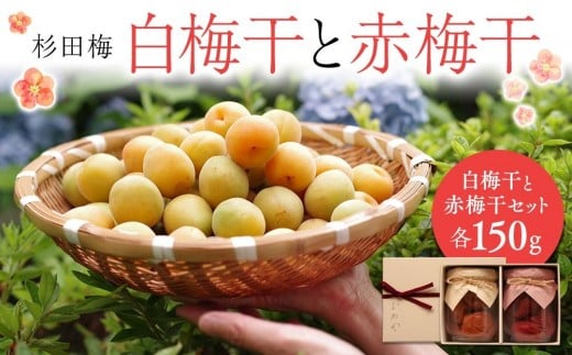 杉田梅の白梅干と赤梅干のセット　１個