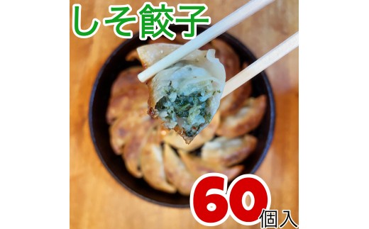 伊万里発「餃子無尽」のシソ餃子　60個 　209-G299 2318550 - 佐賀県伊万里市
