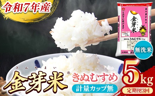 BG無洗米・金芽米きぬむすめ 5kg×3ヵ月 定期便【毎月】計量カップなし【令和7年産 3ヶ月 計15kg 東洋ライス 健康 島根県 安来市】 2308917 - 島根県安来市