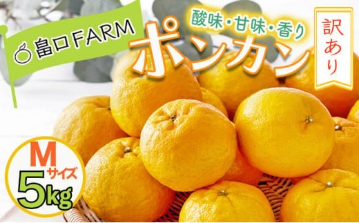 【先行予約】訳ありポンカン ＜5kg＞ Mサイズ　HT17 341440 - 高知県東洋町