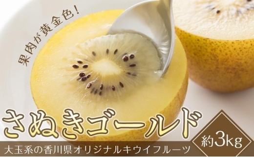 さぬきゴールドキウイ　約3kg（20～24玉入り） 787964 - 香川県坂出市
