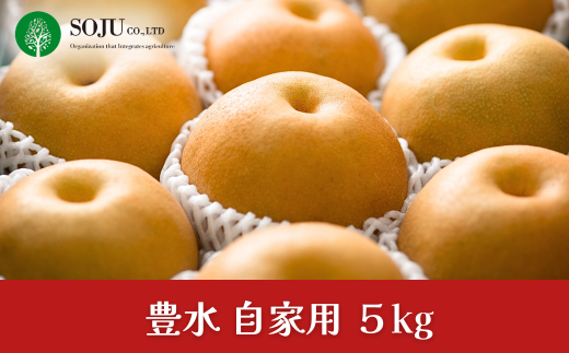和梨 豊水 自家用 約5kg 令和7年度 新潟フルーツ 新潟県産 三条市 梨 [三条果樹専門家集団]【010P055】 946162 - 新潟県三条市