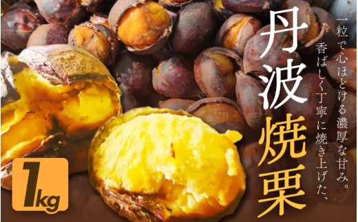 京都府綾部産 丹波焼き栗 1kg 200g×5 小分け真空パック 有機栽培 Lサイズ以上使用 冷凍便 自然な甘みと香ばしさ 焼き栗 栗 丹波栗 国産 栽培期間中農薬不使用 2305146 - 京都府綾部市