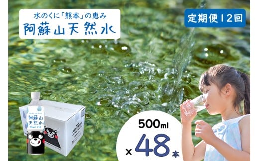【ふるくま】定期便 12回 阿蘇山 天然水 500ml × 48本 2ケース  熊本 阿蘇 水 みず 飲料 くまモンラベル 熊本県 ミネラルウォーター 非加熱殺菌 賞味期限2年 730日 備蓄 保存用