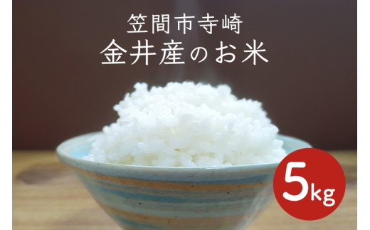 令和7年産 コシヒカリ 5kg 精米 色彩選別 こしひかり お米 白米 こめ 国産 ごはん ご飯 コメ 取り寄せ お弁当 弁当 おにぎり 茨城県 笠間市 いばらき 2302225 - 茨城県笠間市