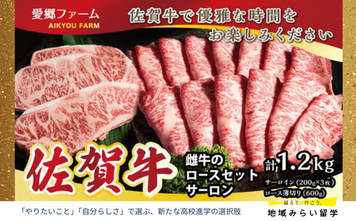 [セット]佐賀牛 雌牛のロースセット(サーロイン・ロース薄切り) 計1.2kg