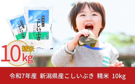 新米 新潟県産 こしいぶき 10kg 令和7年産 米 [株式会社白熊]【011S037】 868245 - 新潟県三条市