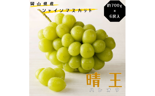 Te-5　シャインマスカット 晴王 特選 大房 約700g  6房 化粧箱入 岡山県産 ぶどう ギフト 御礼 プレゼント 御礼 御祝 御供 果物 くだもの フルーツ 2137377 - 岡山県和気町