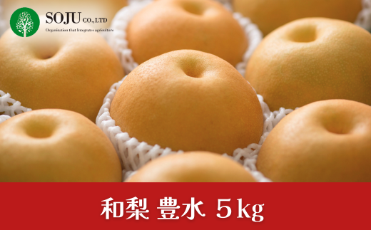 和梨 豊水 約5kg 令和7年度 贈答用 新潟県 三条市産 梨 [三条果樹専門家集団] 【016P020】