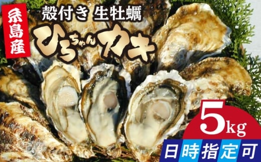 【日時指定可】加熱用 殻付き牡蠣 中サイズ 5kg (60個前後) 真牡蠣 ひろちゃんカキ / 糸島市 [AJA010] ランキング 上位 人気 おすすめ