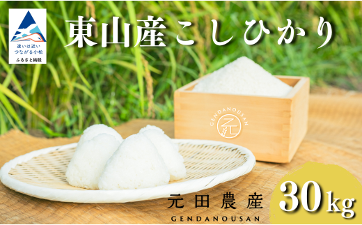 コシヒカリ 精米 30㎏ お米 白米 小松市 石川県 こしひかり【元田農産】