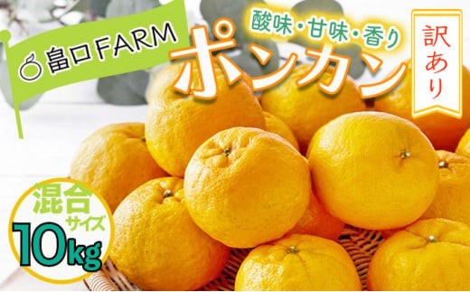 【先行予約】訳ありポンカン ＜10kg＞ サイズ混合　HT20 341443 - 高知県東洋町