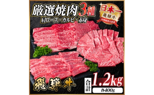 レビューキャンペーン実施中!飛騨牛　厳選焼肉3種(肩ロース・カルビ・赤身)1.2kg(各400g)【1669123】 2301982 - 岐阜県羽島市