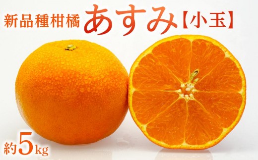 新品種柑橘「あすみ」小玉 約5kg 787974 - 香川県坂出市