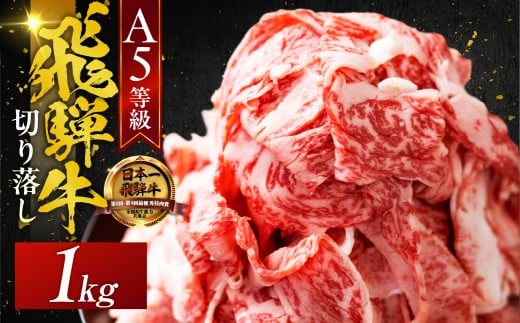 【秋の大感謝祭開催中！飛騨牛が抽選で当たる】A5 飛騨牛 【12回定期便】便利な 切り落とし 1kg 1000g  切落し 部位 おまかせ 訳あり 高級 牛肉 黒毛和牛 ブランド牛 和牛 国産 お肉 肉 高級 お祝い 記念日