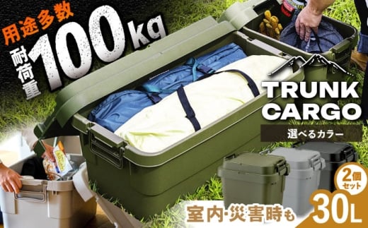 [選べる3色]トランクカーゴ Sサイズ 2個組 / キャンプ ボックス 収納 アウトドア / 恵那市 / 東谷株式会社 明智流通センター [AUAD028P]