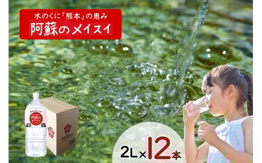 【ふるくま】水 熊本 阿蘇 阿蘇のメイスイ 天然水 2L × 12本 2ケース 24L  水 みず 飲料 くまモンラベル 熊本県 ミネラルウォーター 非加熱殺菌 賞味期限2年 730日 備蓄 保存用