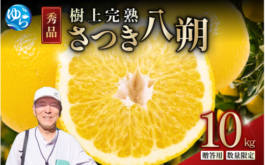 [来シーズン先行予約]樹上完熟さつき八朔 和歌山由良産 秀品 10kg 贈答用 ※2026年4月頃に順次発送予定 / はっさく 柑橘 フルーツ 果物 くだもの 食品 人気 おすすめ 送料無料 由良町 [ksmt002]
