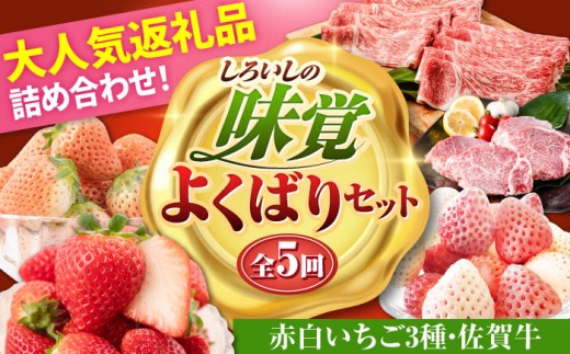 【R8年2月以降発送】【全5回定期便】しろいしの味覚セットよくばりセット（赤白いちご3種と佐賀牛） [IZZ026]