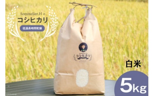 【令和6年度産】減農薬 上市町湯神子産コシヒカリ（白米）5kg　 [ソムリエH 富山県 上市町 32280232-r6-02] 　お米 コメ ご飯 ごはん 玄米ご飯 玄米ごはん こしひかり