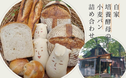 白馬村の季節の素材も使った、珍しい自家培養酵母の小麦パン/長野県白馬村  自家製酵母パン 季節の素材 食事パンセット 村男 サステナブル オーガニックパン 自然発酵 信州パン 地産地消 こだわり素材 パン工房 朝食【B0820640-B】