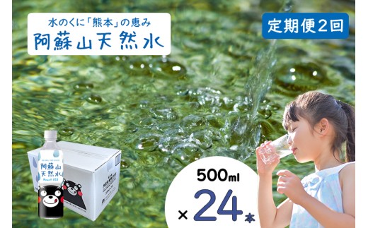 【ふるくま】定期便 2回 阿蘇山 天然水 500ml × 24本 1ケース  熊本 阿蘇 水 みず 飲料 くまモンラベル 熊本県 ミネラルウォーター 非加熱殺菌 賞味期限2年 730日 備蓄 保存用 2305373 - 熊本県小国町