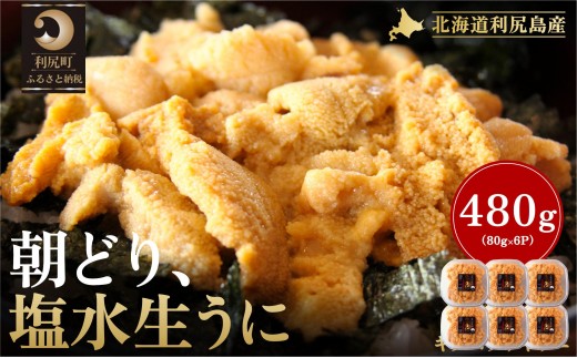 【2026年発送受付】利尻島産「朝どり」塩水生うに480g (80g×6) 天然キタムラサキウニ【6~8月発送分】｜北海道 朝獲れ 塩水 ウニ 無添加 ミョウバン不使用 生 うに 雲丹 国産 天然 利尻 キタムラサキ ムラサキ [1090022] 1373875 - 北海道利尻町