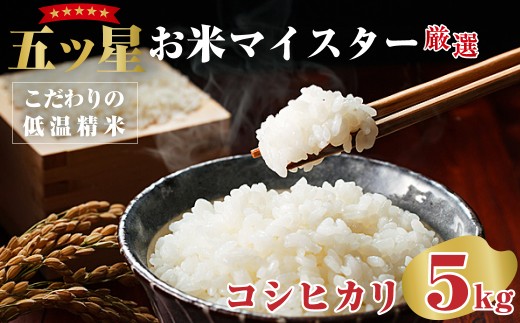 【令和7年産】特選 常陸太田産コシヒカリ 5kg | コシヒカリ こしひかり 米 コメ こめ 白米 精米 5kg 5キロ 五ツ星 お米マイスター HACCP取得 低温精米 健康 体 やさしい 高品質 お米 ご飯 美味しい米 ブランド米 特産物 人気米 数量限定 茨城県産 常陸太田市 あさや米穀 2314046 - 茨城県常陸太田市