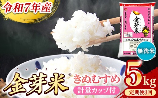 BG無洗米・金芽米きぬむすめ 5kg×3ヵ月 定期便【毎月】計量カップ付き【令和7年産 3ヶ月 計15kg 東洋ライス 健康 島根県 安来市】 2308916 - 島根県安来市